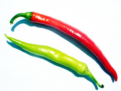 Paprika
