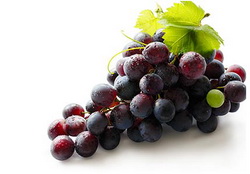 Vitamini